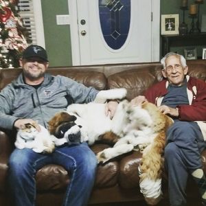 Meet your Posher, Brian